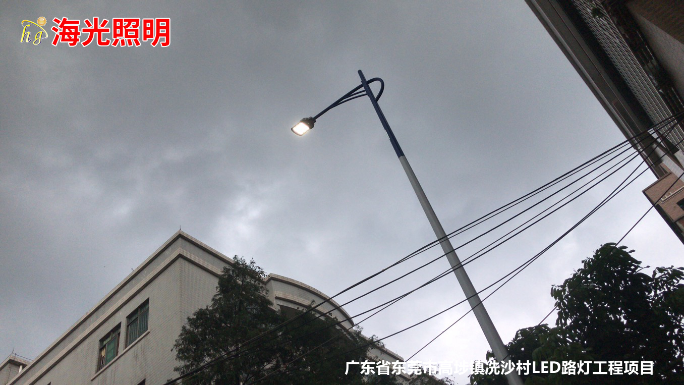 广东省东莞市高埗镇冼沙村LED路灯照明工程项目